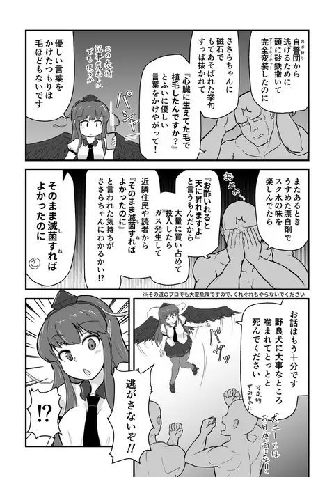 M.C. 咲沙良ちゃん