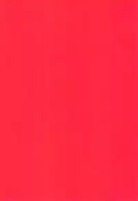 (C77) [Aigan Shounen (Hanamura Shikika)] Rental! +α (VOCALOID)