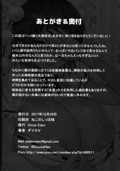 (C93) [Circle Eden (Diisuke)] Hamedori Bunka Chinpou (Touhou Project)[Chinese]【不可视汉化】