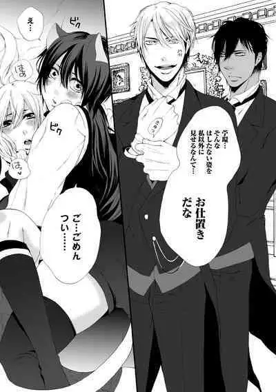 Aigan Neko no Yuuwaku