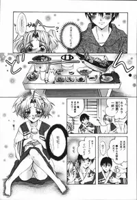 [Nyanko MIC] Chiccha na Hiketsu