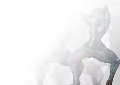 KaninogiSeira no Daigekitou