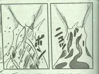 Cotton Comic 1995-02 [Incomplete]