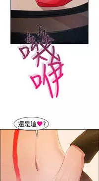 [Studio Gale] Lady Garden 淑女花苑 第一季 [Chinese]