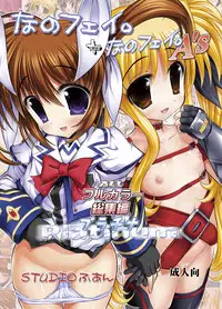 [STUDIO HUAN (Raidon)] NanoFei. + NanoFei. A's ALL Full Color Soushuuhen Platinum (Mahou Shoujo Lyrical Nanoha) [Digital]