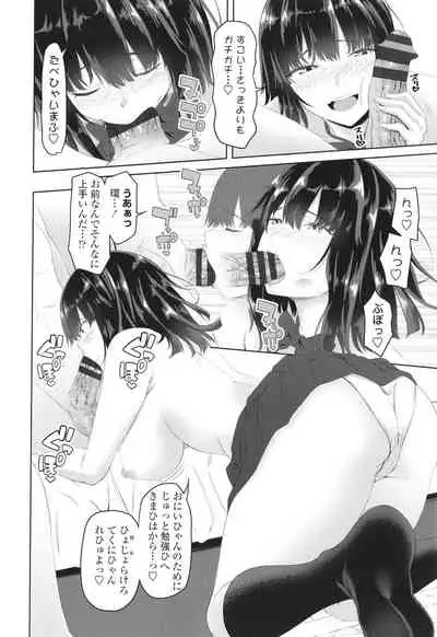 Onii-chan no H na Otoshikata