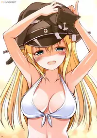 (C87) [Digital Flyer (Oota Yuuichi)] BisColle -Bismarck Collection 2014- (Kantai Collection -KanColle-)