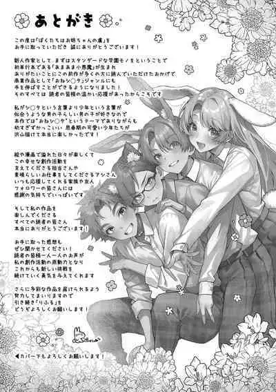 Bokutachi wa oneechan no toriko