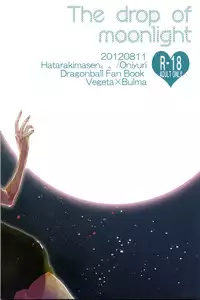(C82) [Hatarakimasen.. (Oniyuri)] The drop of moonlight (Dragon Ball Z) [English] [something or nothing scans]