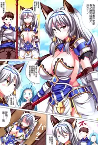 (C90) [An-Arc (Hamo)] Kukkoro ka to Omoikiya Jitsu wa Soudemonai Hon (Granblue Fantasy) [Chinese] [空気系☆漢化]