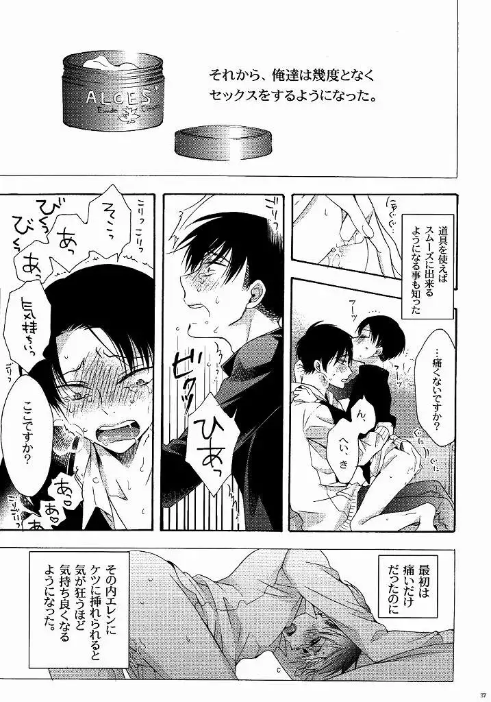 向日葵の咲く冬