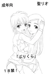 [St. Rio (Kitty)] Purikura Precure Crach (Futari wa Precure)