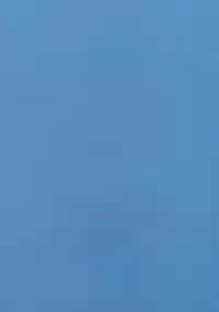 (SC34) [OTOMEKIBUN (Sansyoku Amido.)] Katamimi Usagi (Bleach)