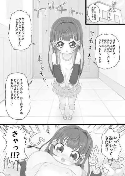 [ロル計劃所ファンクラブ (ロル計劃所)] 政府からさくらちゃん(発生○年目♀)が配布されました [DL版]