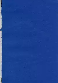 (C63) [UA Daisakusen (Harada Shoutarou)] Ruridou Gahou CODE:19 (Dead or Alive)