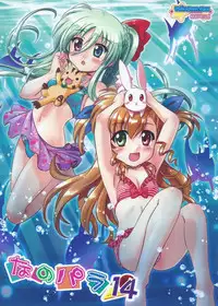 (C88) [Marchen Box (OKINA, ZAN, Shiran Takashi)] Nano-para 14 (Mahou Shoujo Lyrical Nanoha)