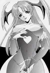 (C55) [Robazoku (Yumesaki Sanjuro)] HAPPY GO LUCKY 2 (Street Fighter, Darkstalkers)