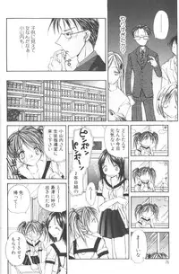 [Hashi Cube] Honey Angel Slave