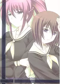 (C75) [Nezumitori (Kuronezumi)] Hayate-sama ga Goranshin! (Mahou Shoujo Lyrical Nanoha StrikerS)