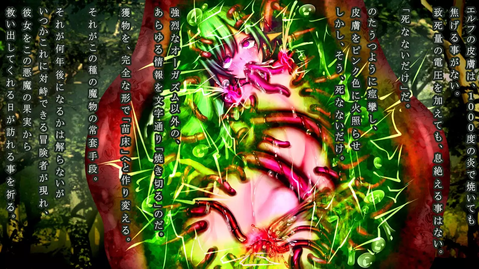 Mamono ni shinryaku sa re horonda Erufu shūraku no zen kiroku