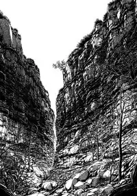 [Shibata Masahiro] Nano Sector