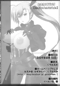 (C76) [Nezumitori (Kuronezumi)] Tokikake Vivid (Mahou Shoujo Lyrical Nanoha StrikerS)
