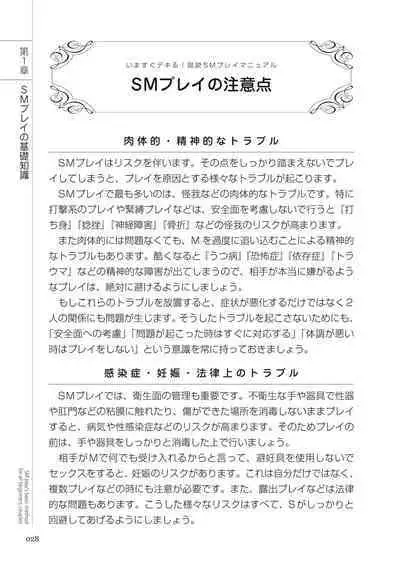 いますぐデキる 図説SMプレイマニュアル