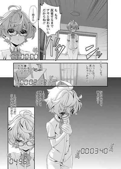 Denki Sentai Briders