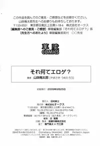 [Yamazaki Umetarou] Sore Nante Eroge?