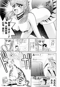 Kenjiro Kakimoto - Futari Kurashi 11 (Japanese)