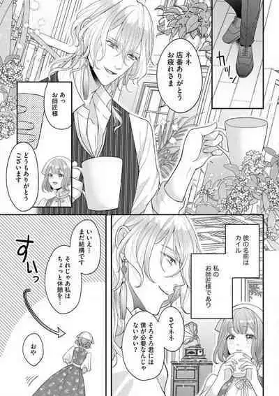 Nene to Ikoku no Mahoutsukai Isekai ni Shoukan Sareta to Omottara, Naze ka Koneko to shite Aigan Saretemasu 1-5