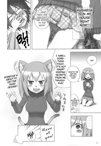 (C75) [Rikudou Juku (Hitotose Rin)] Tora Dango | Tiger Dumplings (Toradora!) [English] [DGB]
