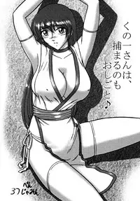 [Dynamite☆Honey] Kunoichi Dynamite DL Ban (Various)