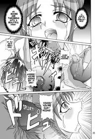 (C64) [Anglachel (Yamamura Natsuru)] Insanity 2 (Darkstalkers, King of Fighters) [English] [EHCOVE]