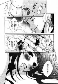 COMIC Papipo 2005-08