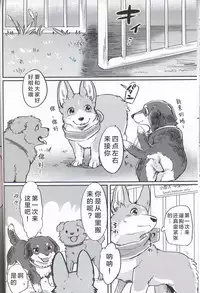 (Kansai! Kemoket 7) [Kaiten ParaDOGs (Diga Tsukune)] Usotsuki Tachi no " " | 讹言者们的“ ” [Chinese] [兔屋汉化组]