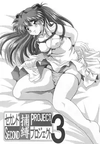 [Thirty Saver Street 2D Shooting (Maki Hideto, Sawara Kazumitsu)] Second Hobaku Project 3 (Neon Genesis Evangelion) [English]
