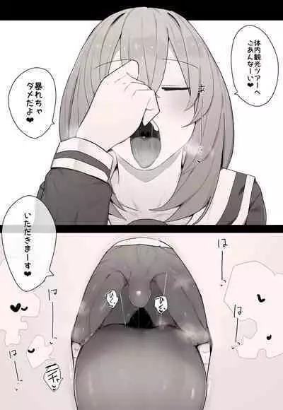 Internal Sightseeing Tour