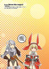 (C78) [Moon the angry! (Urokozuki)] FEZ na Ehon.. (Maru Ni) (Fantasy Earth Zero)