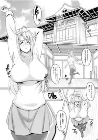 (C94) [Peanutsland (Otakumin)] RARE HINA 6 (Love Hina)