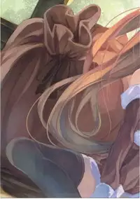 (C87) [Yokkora Pencil (Fal Maro)] Homu library (Puella Magi Madoka Magica)