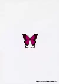 (Reitaisai 6) [Itou Life] Touhou Usa Usa (Touhou Project)