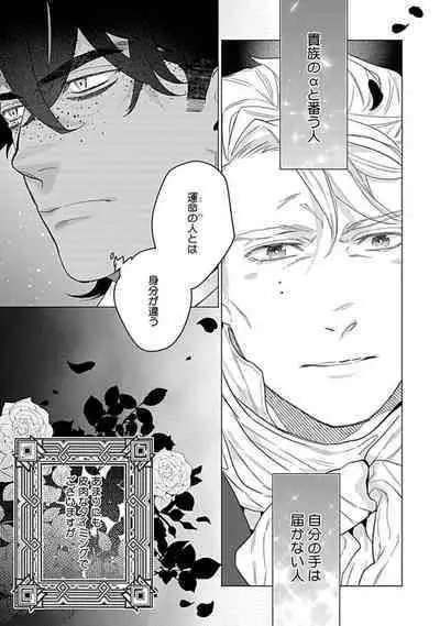 Hoshikuzu no Debutante