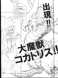 (CR31) [STUDIO LOUD IN SCHOOL (Hagiwara Kazushi)] BASTARD!! -ANKOKU NO HAKAIGAMI- KANZENBAN 02 ver.1.05 「YOKOKU HON」