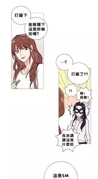 [The Jinshan] Sadistic Beauty Ch.1-27 [Chinese] [17汉化]