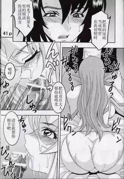 [St. Rio (Kitty, Kouenji Rei)] COSMIC BREED 5 (Gundam SEED DESTINY) [Chinese] [零食汉化组]