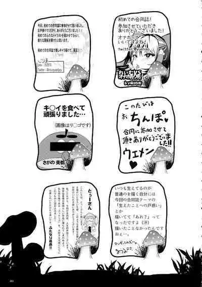 Touhou Ochinpo Haechatta Goudoushi