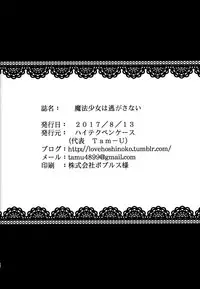 (C92) [High Tech Pen Case (Tam-U)] Mahou Shoujo wa Nigasanai [Chinese] [脸肿汉化组]