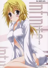 (COMIC1☆5) [SONIC WINTER (Tsukishima Kai)] Kimi wa Boku no Takaramono | You're My Treasure (IS <Infinite Stratos>) [English] (Rapid Switch)