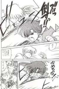 [BLACK DOG (Kuroinu Juu)] Star Platinum (Bishoujo Senshi Sailor Moon)